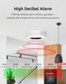 gas detector